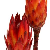 Repens rood 2-tone 25st