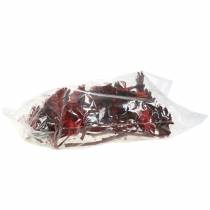Artikel Repens Rozet Rood 8cm - 9cm 25 st