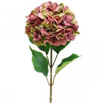 Hortensia kunstroze, bordeaux kunstbloem groot 80cm
