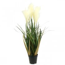 Artikel Rietgras in pot Kunstplant Crème, Groen 79cm