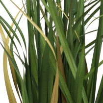 Artikel Rietgras in pot Kunstplant Crème, Groen 79cm