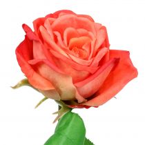 Rose kunstbloem zalm 67.5cm