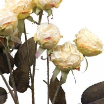Artikel Kunstrozen verwelkt Drylook 9 bloemblaadjes creme 69cm