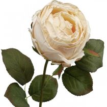 Artikel Roos Crème Zijden Bloem Kunstroos L74cm Ø7cm