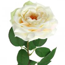 Artikel Roomwitte abrikozenroos, zijden bloem, kunstrozen L72cm Ø12cm