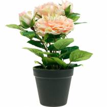 Decoratieve roos in pot, romantische zijden bloemen, roze pioenroos