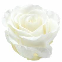 Artikel Infinity Rozen Groot Ø5,5-6cm Wit 6 st