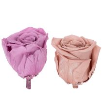 Artikel Geconserveerde rozenkoppen, romantisch cadeau, lang houdbare rozen voor speciale gelegenheden, 5 cm, 6 stuks