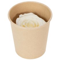 Artikel Geconserveerde rozenkoppen, duurzame tafeldecoratie voor een romantische sfeer, bruiloftsdecoratie, 5 cm, 6 stuks