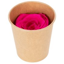 Artikel Geconserveerde rozendecoraties, echte bloemen voor tafeldecoratie, unieke en duurzame bloemen, 5 cm, 6 stuks