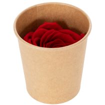 Artikel Geconserveerde rozen, decoratieve romantische accenten voor woonruimtes of bruiloften, 5 cm, 6 stuks