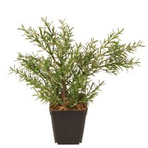 Artikel Rozemarijn in pot Kunstkruiden Groene planten H24cm