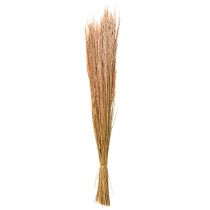 Artikel Rood Bent Gras Agrostis Droog Gras Rood Bruin 65cm 80g