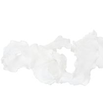 Artikel Wit gegolfd organza lint, decoratief lint, 25 mm breed, 10 m lang