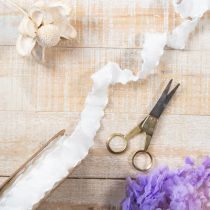 Artikel Wit gegolfd organza lint, decoratief lint, 25 mm breed, 10 m lang