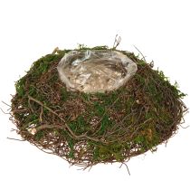 Artikel Ronde plantenbak mosranken met folie Ø20cm H7cm
