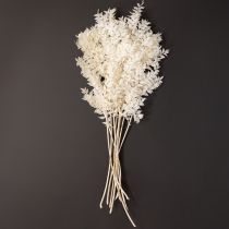 Artikel Ruscus takken decoratieve takken droogbloemen gebleekt 10 stuks