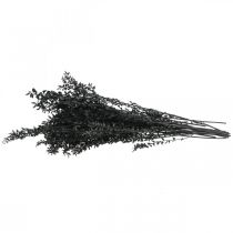 Artikel Ruscus-takken, decoratieve takken, gedroogde bloemen, zwart, 200 g