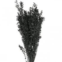 Ruscus takken decoratieve takken gedroogde bloemen zwart 200g