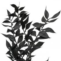 Ruscus takken decoratieve takken gedroogde bloemen zwart 200g