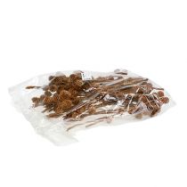 Artikel Sabulosum 4-6 kroppen per tak 25 st