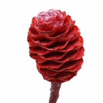 Artikel Deco takken Sabulosum rood frosted 4-6 25 stuks
