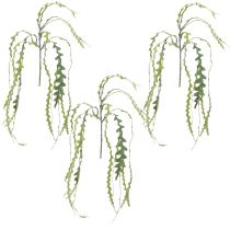 Artikel Kunstzaagblad Cactus Epiphyllum anguliger L68cm 3 st