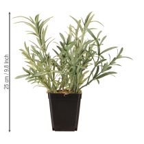 Artikel Salie in pot Salvia Lavandulifolia Kunstmatig H25cm
