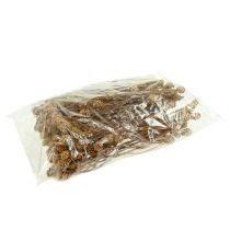 Artikel Salignum light 4-6 bloemen op de Leucadendron tak 100 stuks