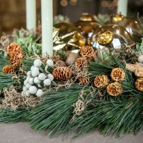 Artikel Salignum tak lichte leucadendron bloemen op de tak 25 st