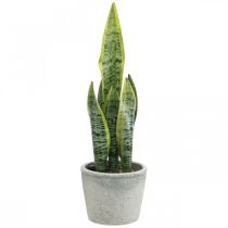 Kunstmatige strikhennep, groene plant in pot, Sansevieria H39cm Ø12cm