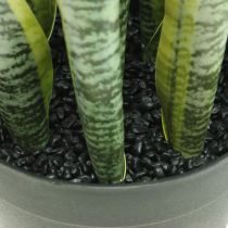Sansevieria, kunstbloem, strikhennep in pot H50cm Ø14cm