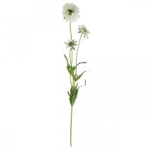 Artikel Scabiose kunstbloem witte tuinbloem H64cm bos à 3 stuks