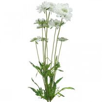 Scabious kunstbloem witte tuin bloem H64cm bos met 3st