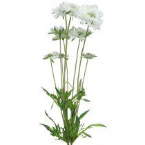 Artikel Scabiose kunstbloem witte tuinbloem H64cm bos à 3 stuks