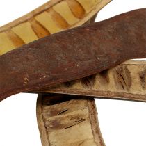 Scaletta peul naturel 25cm - 50cm 25st