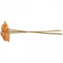 Artikel Duizendblad kunst kunstbloemen oranje 50cm 5st in bos