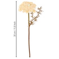 Artikel Duizendblad kunstcrème Achillea kunstbloemen 30cm 6 stuks