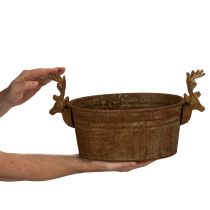 Artikel Decoratieve schaal met rendierkop, ovaal, roestbruin, rustiek, 41 cm