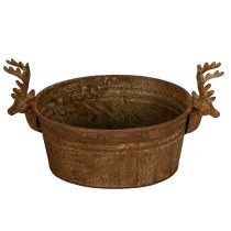 Artikel Decoratieve schaal met rendierkop, ovaal, roestbruin, rustiek, 41 cm