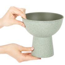 Artikel Moderne ronde plantenbak op een hoge voet, 18 cm