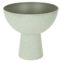 Artikel Schaal met standaard voor planten, decoratieve schaal, 25 cm