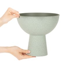 Artikel Schaal met standaard voor planten, decoratieve schaal, 25 cm