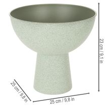Artikel Schaal met standaard voor planten, decoratieve schaal, 25 cm