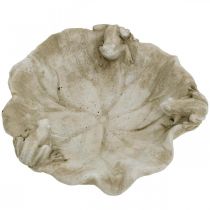 Artikel Vogelbad met kikkers, betonnen tuinfiguur, vogelbad lotusblad B21cm H7cm