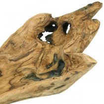 Sierschaal Paulownia hout, bloembak, houten schaal L58cm H7–8cm
