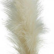 Feather Grass Cream Chinees riet kunstmatig droog gras 100cm 3st
