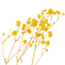 Artikel Boeket gedroogde bloemen met gipskruid. Decoratieve bloeiende takken, geschikt voor seizoensgebonden tafeldecoratie. 70 cm