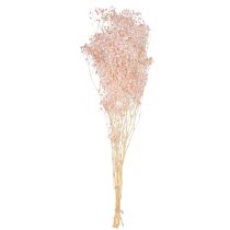Artikel Gypsophila Decoratie Oranje Gedroogde Grassen Perzik 65-70cm 100g