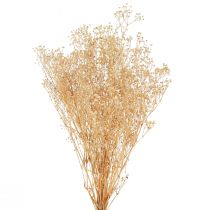 Artikel Gypsophila Viooltje Gipskruid Witte bloemen 50cm 55g